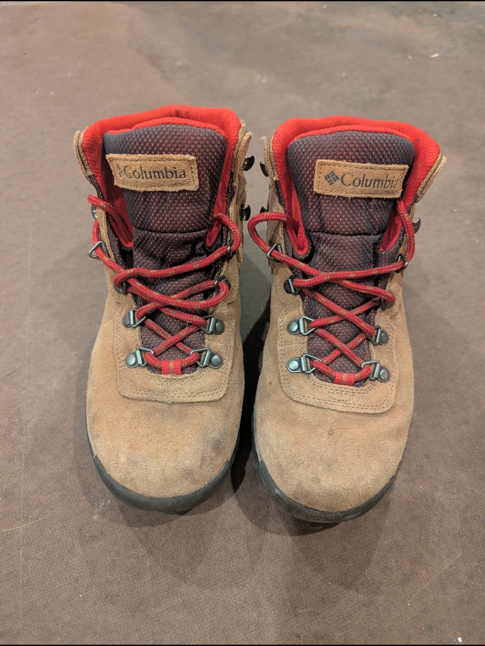 Columbia Women's Newton Ridge Plus Waterproof Amped Hiking Boot